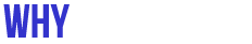 Why SoundDog?